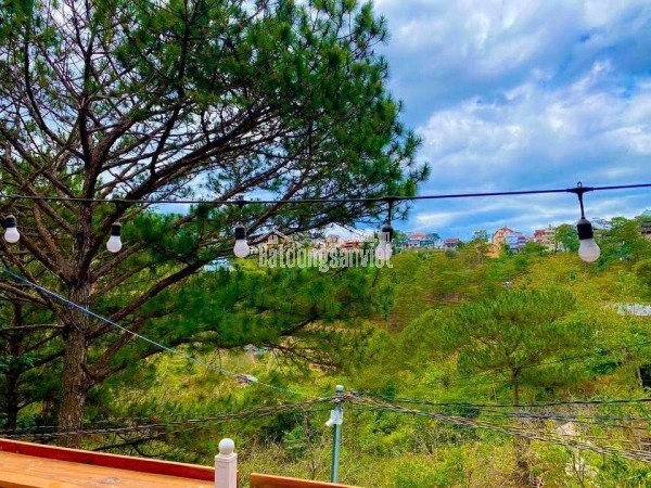 CHO THUÊ HOMESTAY 3 PHÒNG NGỦ HÀ HUY TẬP PHƯỜNG 3 TP ĐÀ LẠT 20TR/THÁNG