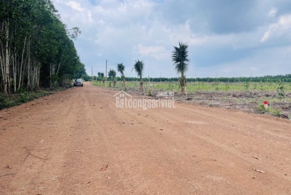 ⚡ Đất thổ cư 200m² giá chỉ 230 triệu, gần KCN, đường nhựa 7m 🏡