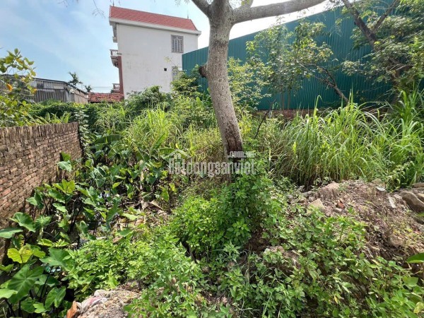 Bán đất thổ cư 63m2 sổ đỏ riêng tại Đắc Sở, Hoài Đức TP Hà Nội
