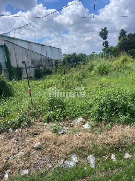 BÁN SIÊU NHÀ VƯỜN – TP DĨ AN - DIỆN TÍCH: 1700M2
