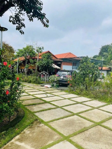 BÁN SIÊU NHÀ VƯỜN – TP DĨ AN - DIỆN TÍCH: 1700M2