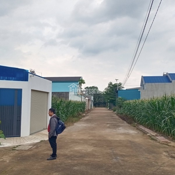 🌟 Đất nền Tây Hòa (Hưng Thịnh mới), Đồng Nai - Giá chỉ 1,1 tỷ!