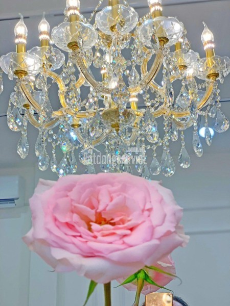 Quận Phú Nhuận ! SANG LẠI MB SHOP DECOR MỚI ĐẸP – GIÁ RẺ, Tel : 0909782578 ( Chính chủ )