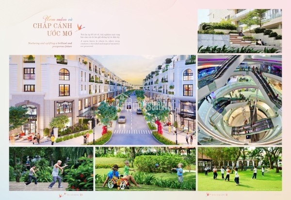 Alluvia City Văn Giang –Giá Bán tháng 8/2025