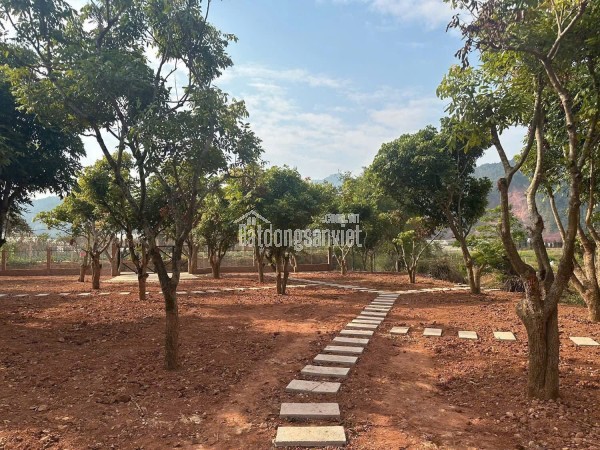 CHÍNH CHỦ CẦN BÁN LÔ ĐẤT BÁM SUỐI CỰC VIP TẠI BẢN 19.8 XÃ MƯỜNG SANG- HUYỆN MỘC CHÂU