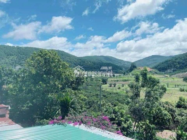 BÁN ĐẤT BIỆT THỰ NGUYỄN HỮU CẢNH – PHƯỜNG LÂM VIÊN (P8 CŨ), ĐÀ LẠT