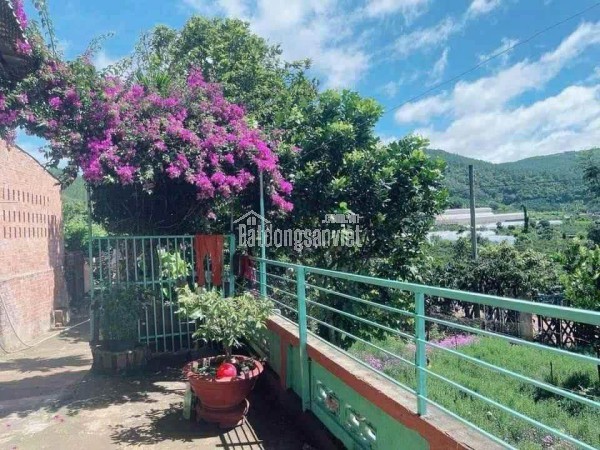 BÁN ĐẤT BIỆT THỰ NGUYỄN HỮU CẢNH – PHƯỜNG LÂM VIÊN (P8 CŨ), ĐÀ LẠT