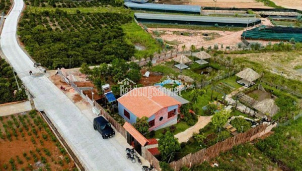 BÁN ĐẤT BIỆT THỰ NGUYỄN HỮU CẢNH – PHƯỜNG LÂM VIÊN (P8 CŨ), ĐÀ LẠT