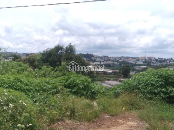 Cần bán 436m2. đất xã bình thạnh - đức trọng - lâm đồng