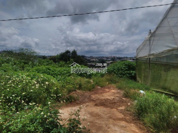 Cần bán 436m2. đất xã bình thạnh - đức trọng - lâm đồng