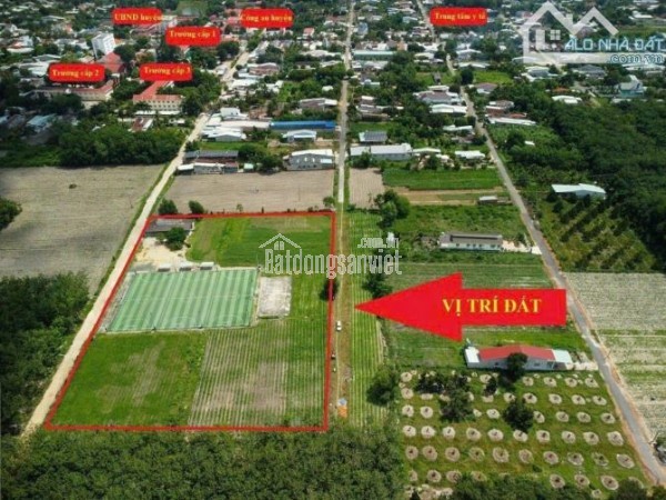 Bán đất ở ngay trung tâm thị trấn Tân Châu huyện Tân Châu Tây Ninh