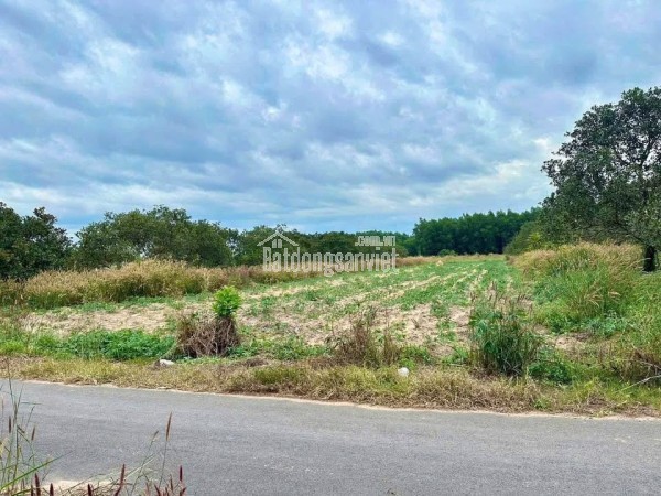 🏡 Bán 200m² thổ cư 100% giá 230 triệu, gần KCN, đường nhựa 7m ⚡
