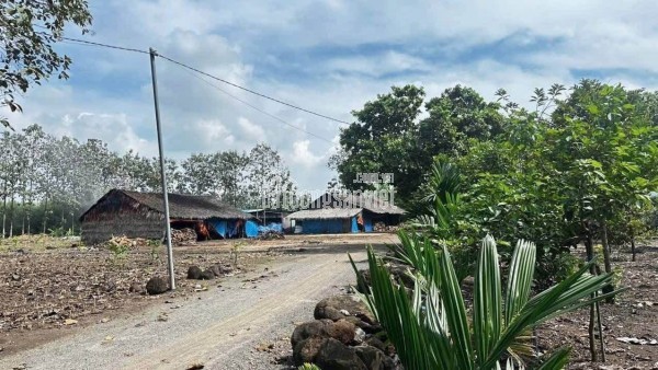 🏡 Bán 200m² thổ cư 100% giá 230 triệu, gần KCN, đường nhựa 7m ⚡