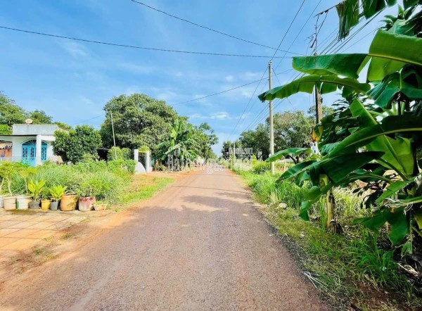 🏡 Bán 200m² thổ cư 100% giá 230 triệu, gần KCN, đường nhựa 7m ⚡