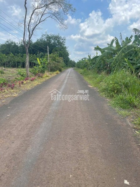 🏡 Bán 200m² thổ cư 100% giá 230 triệu, gần KCN, đường nhựa 7m ⚡