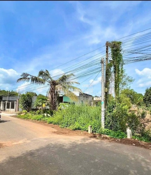 💥 Bán Gấp Lô Đất Giá Chỉ 190 Triệu – Mặt Tiền 8m, Gần KCN
