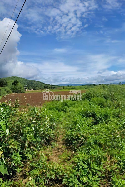 BÁN LÔ ĐẤT ĐẸP – VỊ TRÍ TRUNG TÂM ĐỨC TRỌNG – GIÁ ĐẦU TƯ