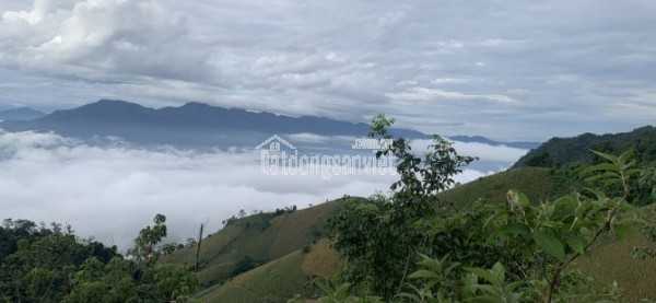 Cần bán lô đất có vị trí đắc địa tại xã Chiềng Sơn, Mộc Châu đã có sổ hồng, diện tích hơn 2ha, mặt