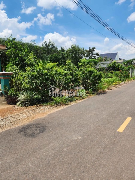 🏡 Bán 200m² thổ cư 100% giá 2 tỷ 250 triệu, gần KCN, đường nhựa 7m ⚡