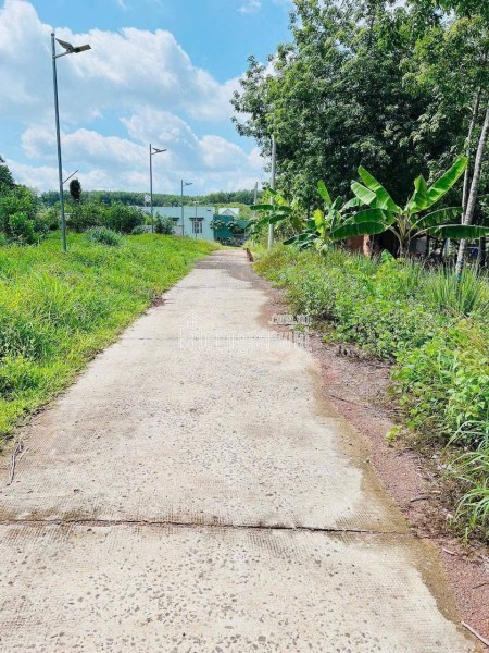 🏡 Đất 200m² thổ cư 100% giá 230 triệu, gần KCN, đường nhựa 7m ⚡