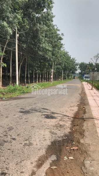 Bán mặt tiền nhựa liên ấp, gần ngã tư Gia Vĩnh, An Viễn, Đồng Nai