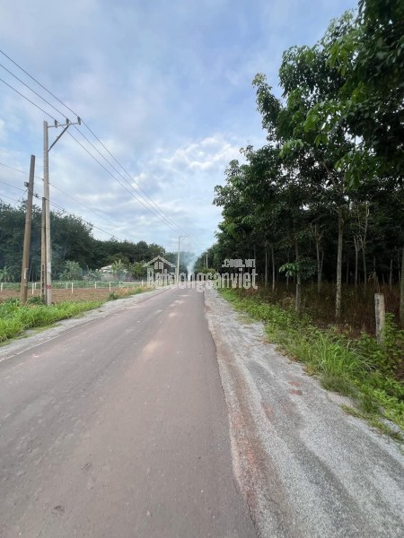🔥 Bán gấp lô đất 525m² giá rẻ 250 triệu