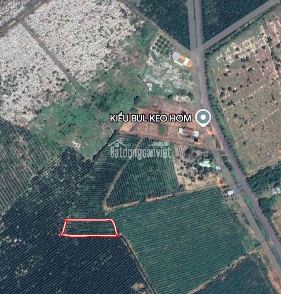 BÁN GẤP ĐẤT Ở THỔ CƯ QUỐC LỘ 55, THẮNG HẢI - HÒA TAN - BÌNH THUẬN, 1236M², 1.2 TỶ, quyền sử dụng