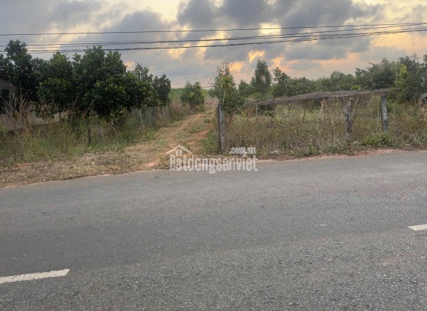 BÁN GẤP ĐẤT Ở THỔ CƯ QUỐC LỘ 55, THẮNG HẢI - HÒA TAN - BÌNH THUẬN, 1236M², 1.2 TỶ, quyền sử dụng