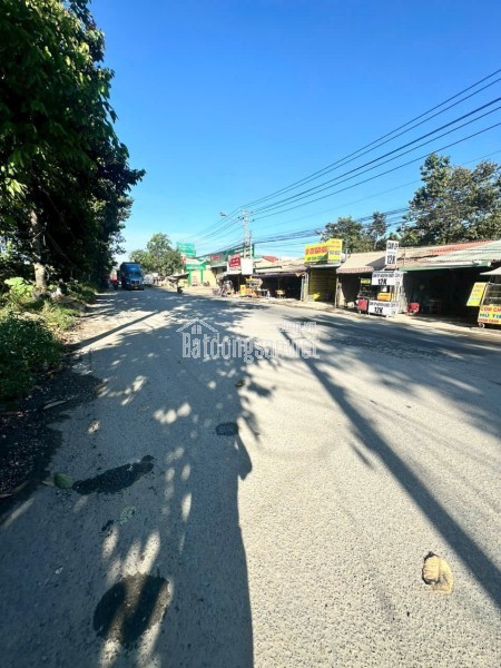 BÁN GẤP ĐẤT Ở THỔ CƯ QUỐC LỘ 55, THẮNG HẢI - HÒA TAN - BÌNH THUẬN, 1236M², 1.2 TỶ, quyền sử dụng