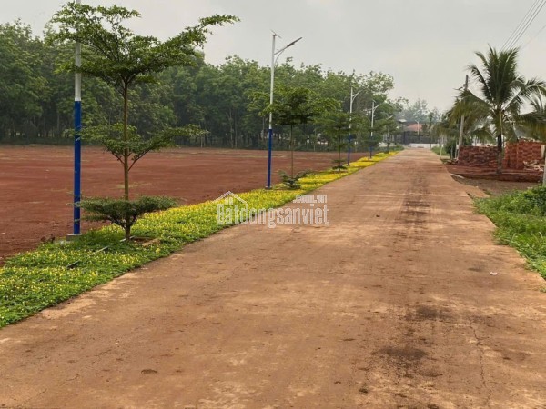 BÁN ĐẤT TẠI LONG HÀ, PHÚ RIỀNG, BÌNH PHƯỚC