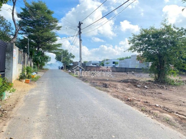 ✨ Bán đất thổ cư Trảng Bom – diện tích 116,3 mét vuông, giá chỉ 1,23 tỷ!