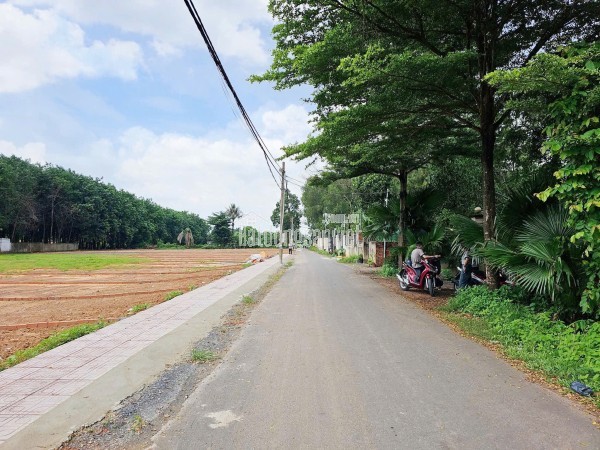 ✨ Bán đất thổ cư Trảng Bom – diện tích 116,3 mét vuông, giá chỉ 1,23 tỷ!