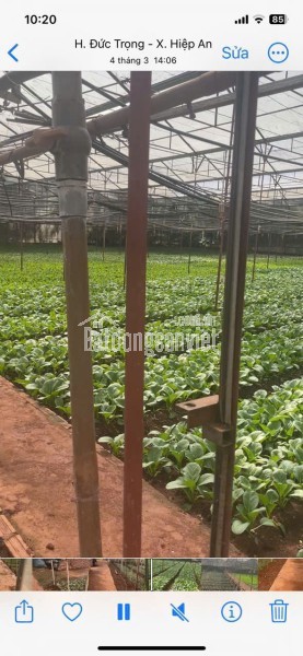 HẠ GIÁ KỊCH SÀN - BÁN GẦN 5000M2 HIỆP AN - GIẢM 5 TỶ