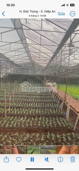 HẠ GIÁ KỊCH SÀN - BÁN GẦN 5000M2 HIỆP AN - GIẢM 5 TỶ