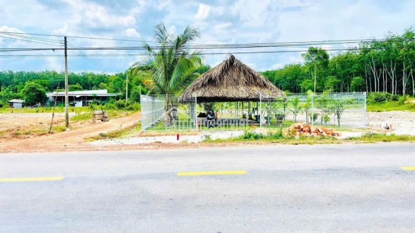 Bán đất tại ĐT750, Xã Long Hoà, Huyện Dầu Tiếng, Bình Dương giá 1 tỷ  150 triệu