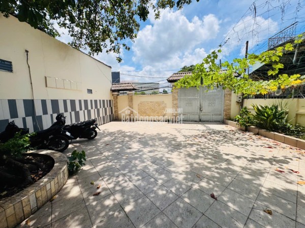 BÁN BIỆT THỰ VƯỜN 493M² – ĐƯỜNG BẾ VĂN ĐÀN, AN BÌNH – GIÁ CHỈ 16.5 TỶ