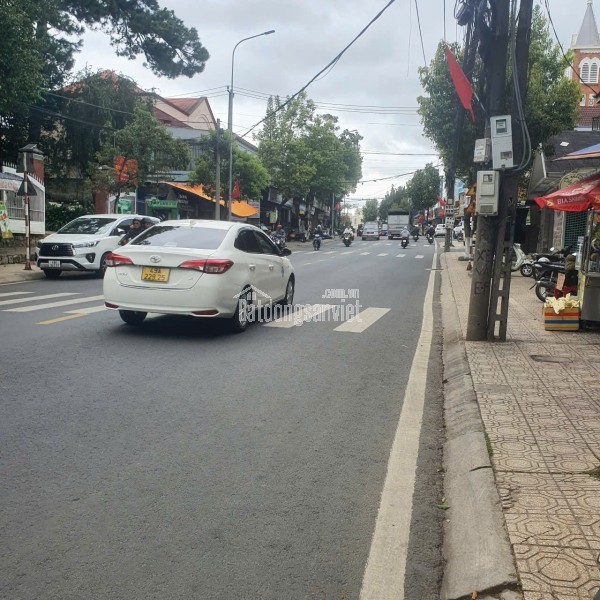 CHO THUÊ VILLA SÂN VƯỜN NGÔ TẤT TỐ P8 ĐÀ LẠT
