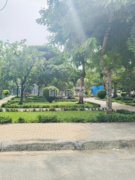 Bán nhà mặt tiền hẻm xe hơi đỗ cửa ngay khu dân cư Bông Sao thông Tạ Quang Bửu P5 Q8