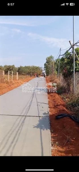 cần bán đất mặt tiền đường bê tông quảng tín