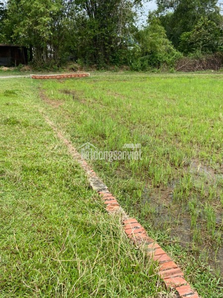 CHÍNH CHỦ BÁN LÔ ĐẤT 1000M2 GIÁ SIÊU TỐT TẠI BÀU SEN, ĐỨC HÒA, LONG AN
