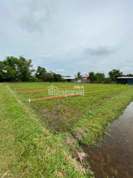 CHÍNH CHỦ BÁN LÔ ĐẤT 1000M2 GIÁ SIÊU TỐT TẠI BÀU SEN, ĐỨC HÒA, LONG AN