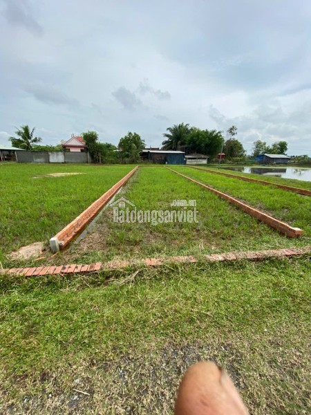 CHÍNH CHỦ BÁN LÔ ĐẤT 1000M2 GIÁ SIÊU TỐT TẠI BÀU SEN, ĐỨC HÒA, LONG AN