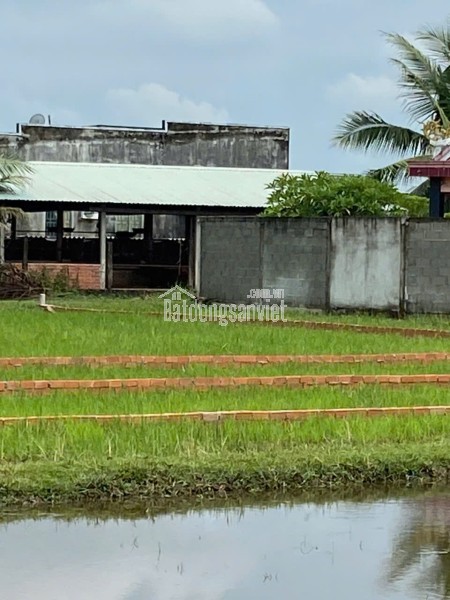 CHÍNH CHỦ BÁN LÔ ĐẤT 1000M2 GIÁ SIÊU TỐT TẠI BÀU SEN, ĐỨC HÒA, LONG AN