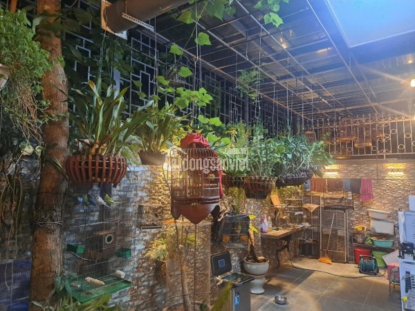 Biệt thự An Khang Villa KĐTM Dương Nội Hà Đông 200m2- 5 tầng thang máy giá nhỉnh 58 tỷ