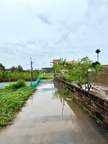 Bán đất Đoàn Xá, Kiến Thụy, Hải Phòng