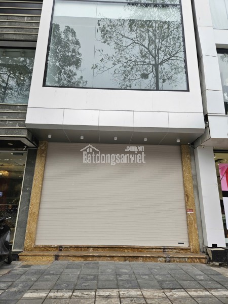 Bán nhà MP Trúc Khuê, Dt 50m2 x 6 Tầng, MT: 3.8m, Đường 15m, vỉa hè 5m, Tiện KD.