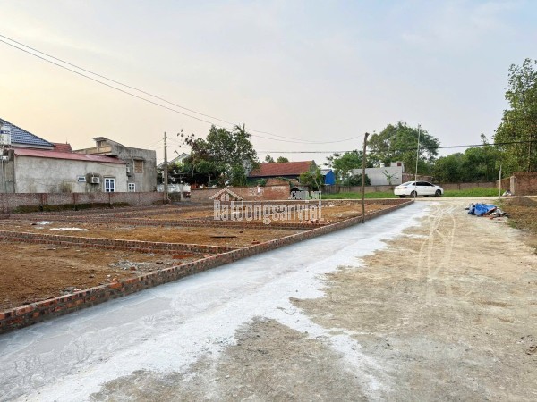 Chính Chủ Chuyển Nhượng Lô Đất tại Kim Anh, Hà Nội
