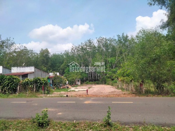 🏡 BÁN ĐẤT GIÁ RẺ NGAY KHU CÔNG NGHIỆP