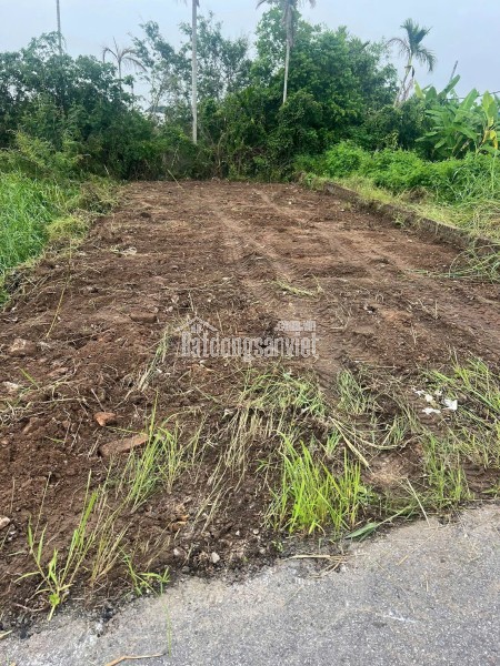 Bán đất mặt đường Nhà Mạc, Hòa Nghĩa, Dương Kinh