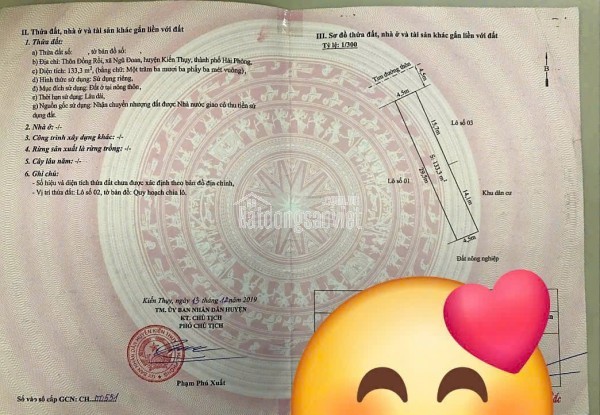 Bán đất khu đấu giá Đồng Rồi, xã Ngũ Đoan, Hải Phòng